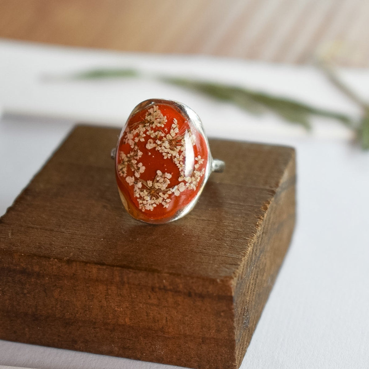 Anillo de Plata con Encaje de la Reina Ana (sobre fondo rojo)