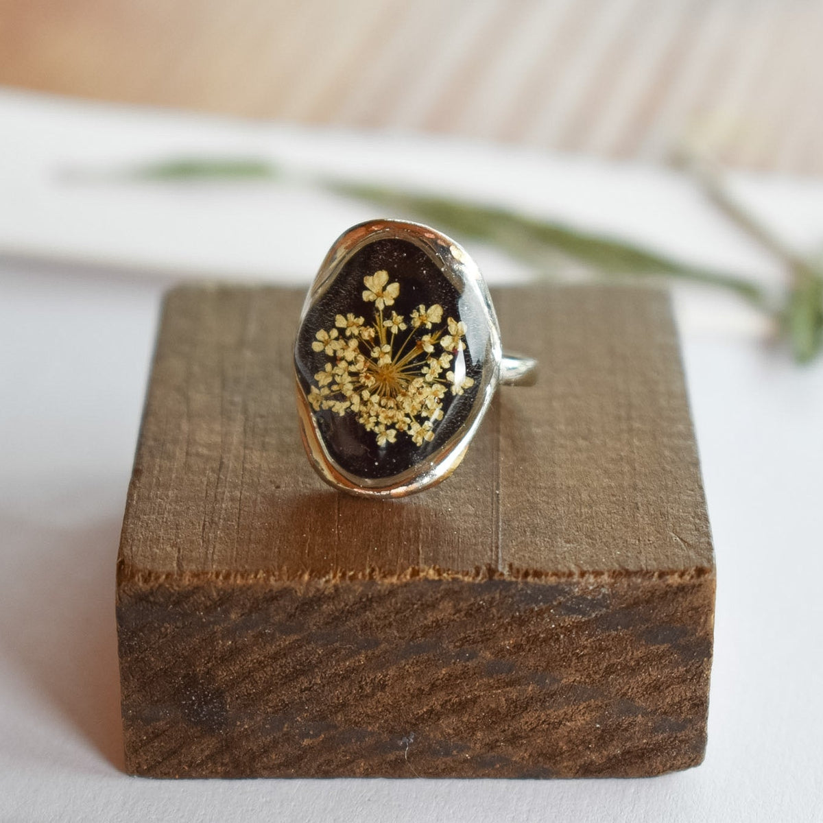 Anillo de Plata con Encaje de la Reina Ana (fondo negro)