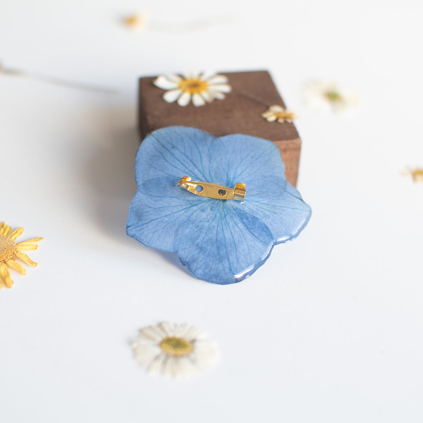 Broche con Hortensia real prensada
