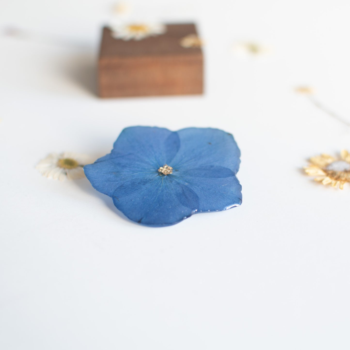 Broche con Hortensia real prensada