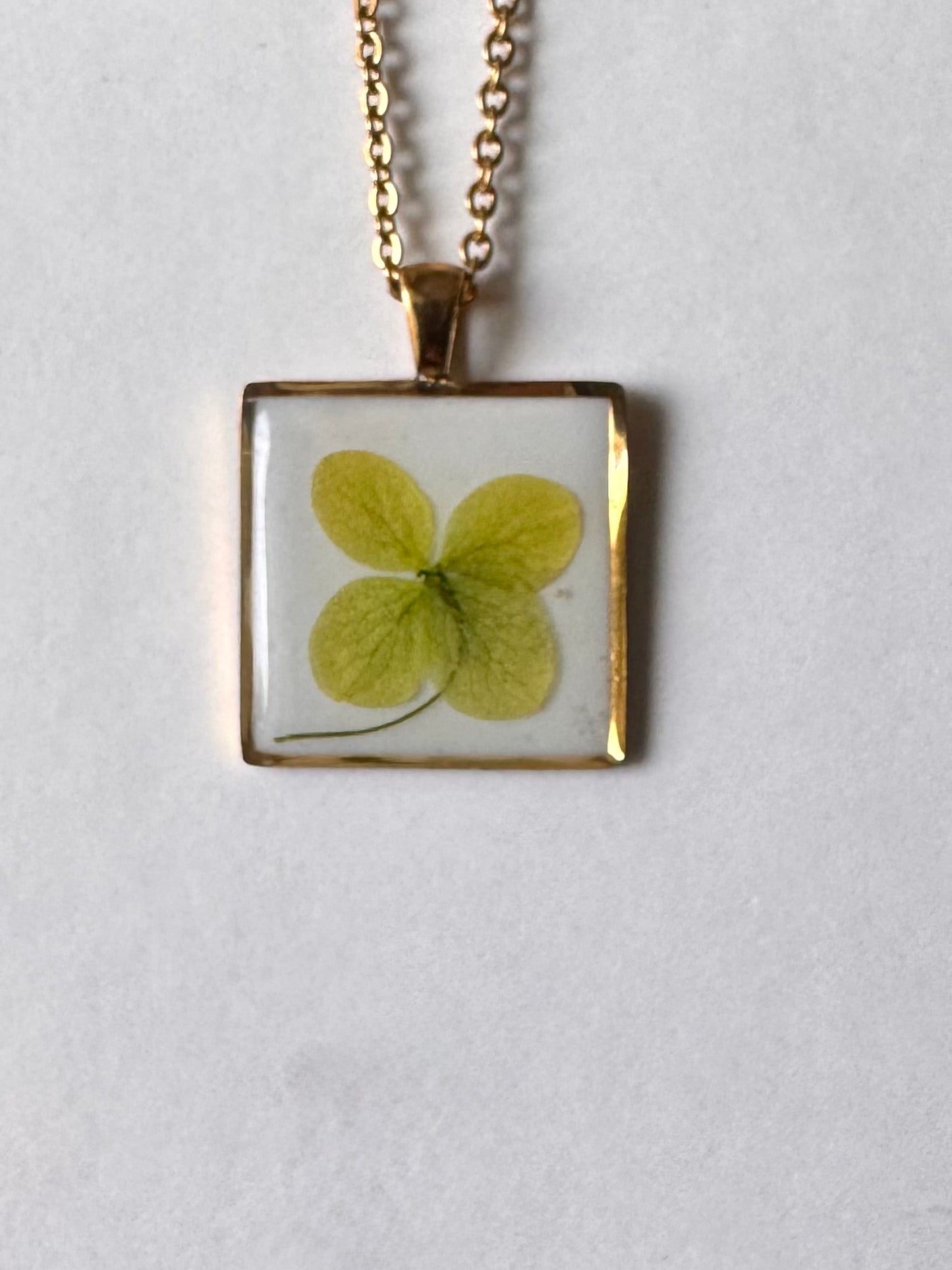 Colgante con hortensia verde