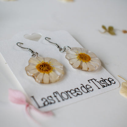 Pendientes con margaritas blancas