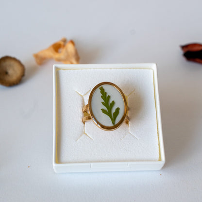 Anillo con helecho