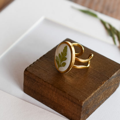 Anillo con hoja de helecho natural (dorado)