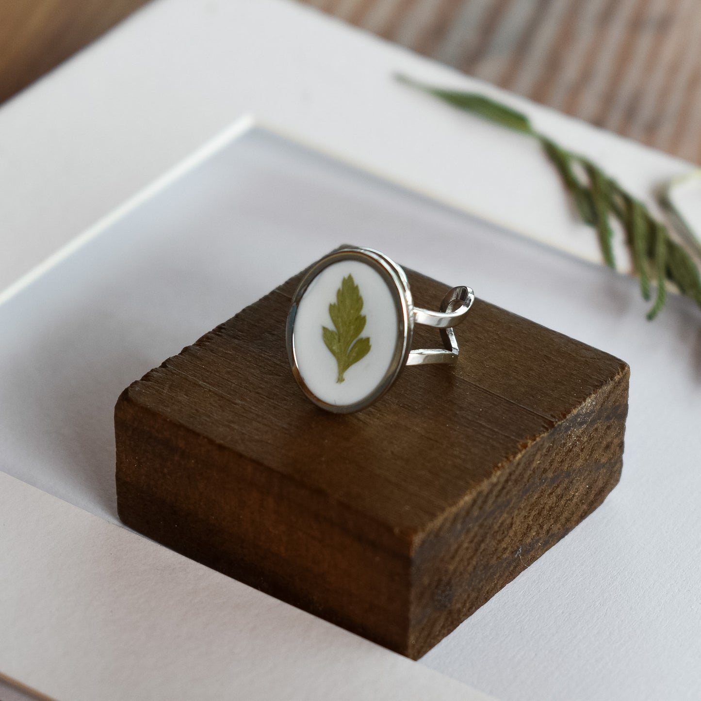 Anillo con hoja de helecho natural