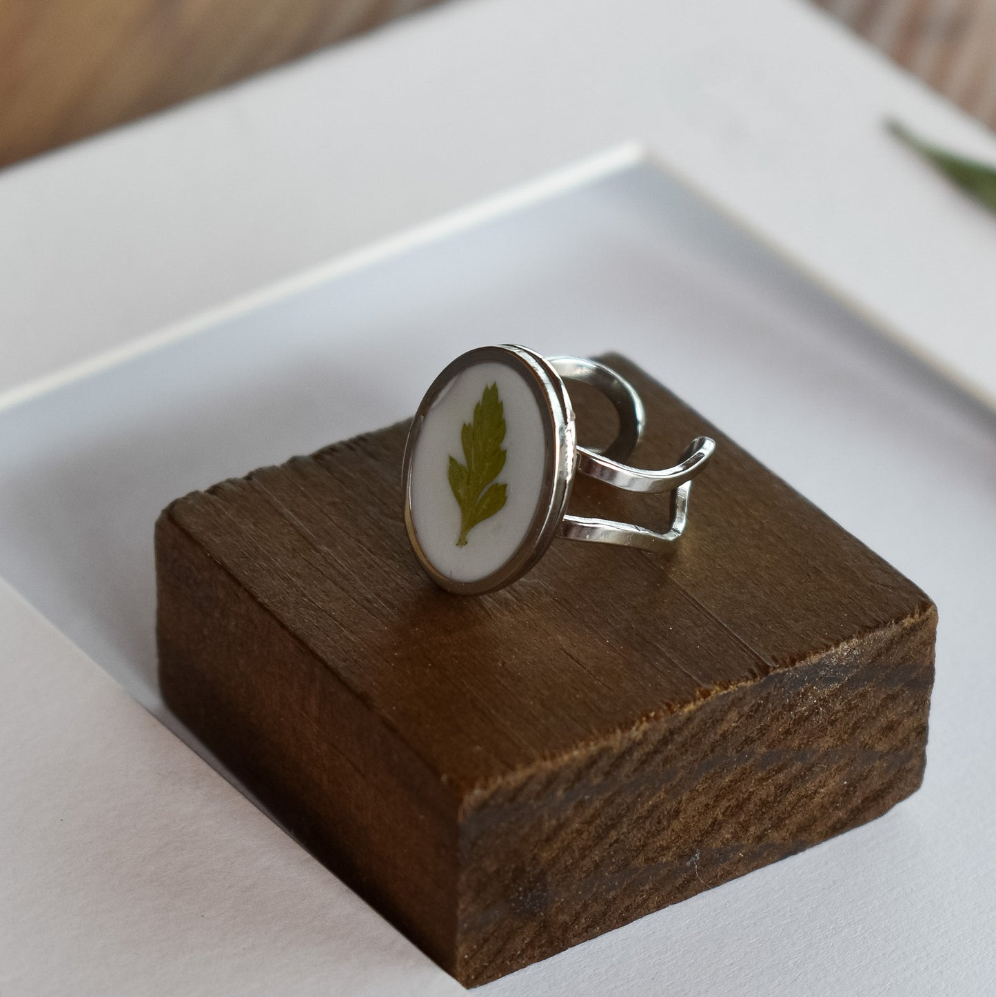 Anillo con hoja de helecho natural
