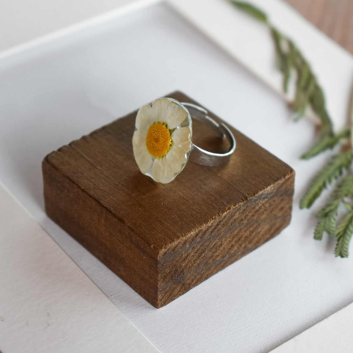 Anillo con margarita blanca natural