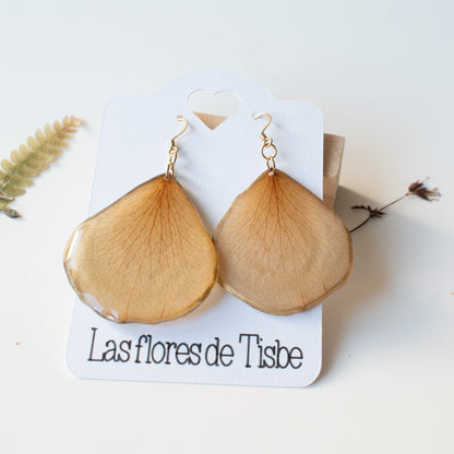 Pendientes con hoja de rosal