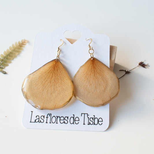 Pendientes con hoja de rosal