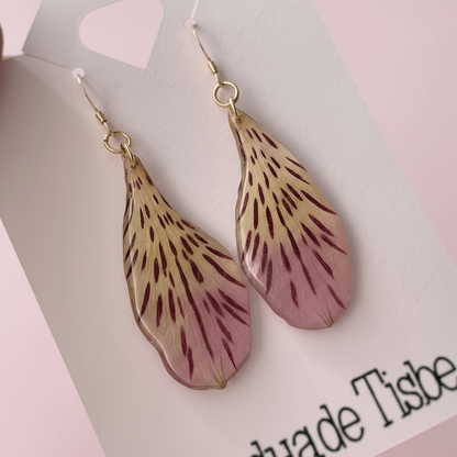 Plumitas de astromelia