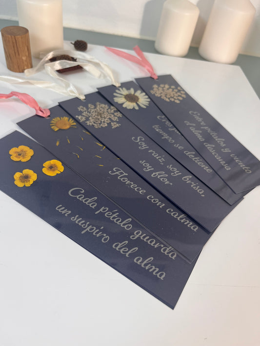 Pack de 5 marcapáginas variados