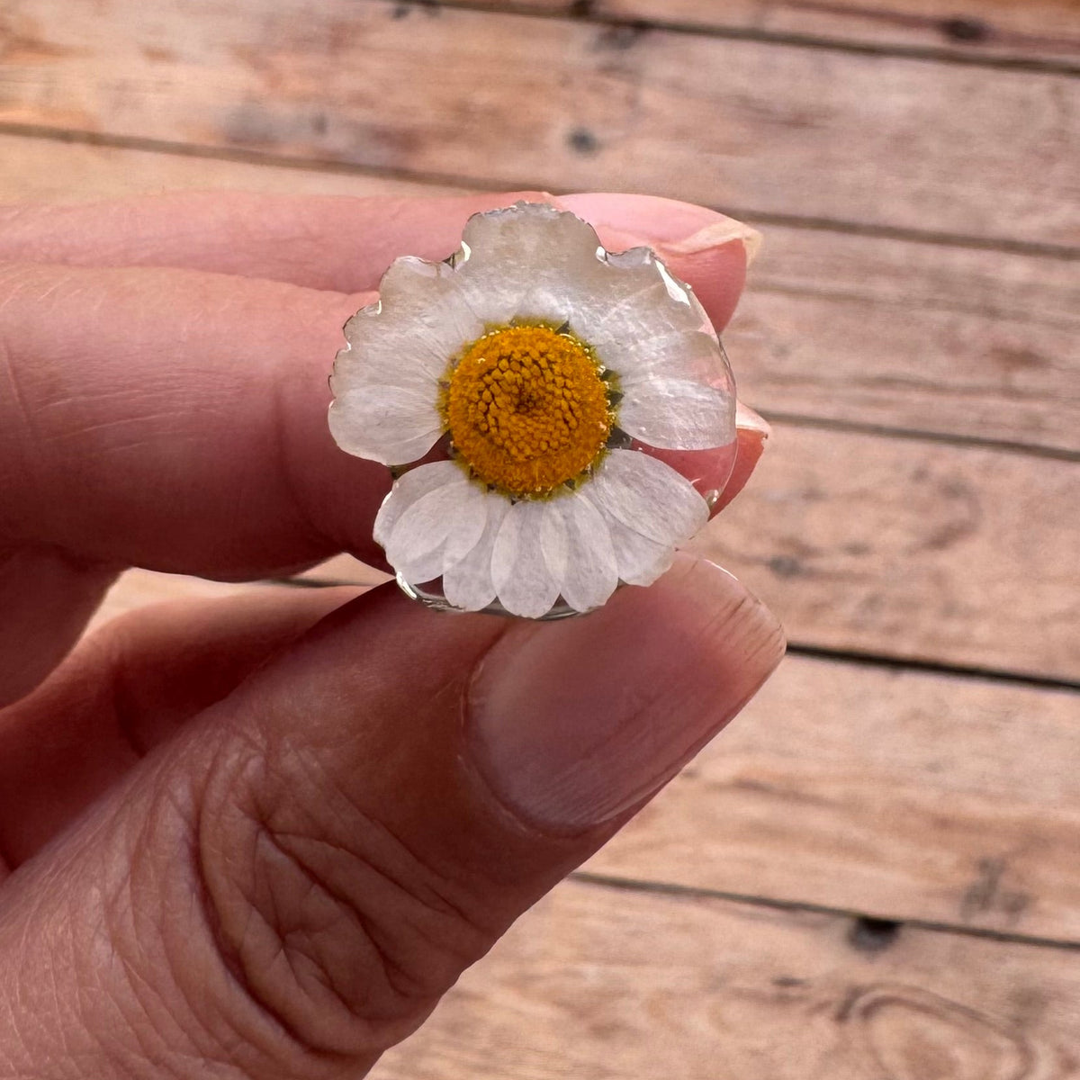 Anillo con margarita blanca natural