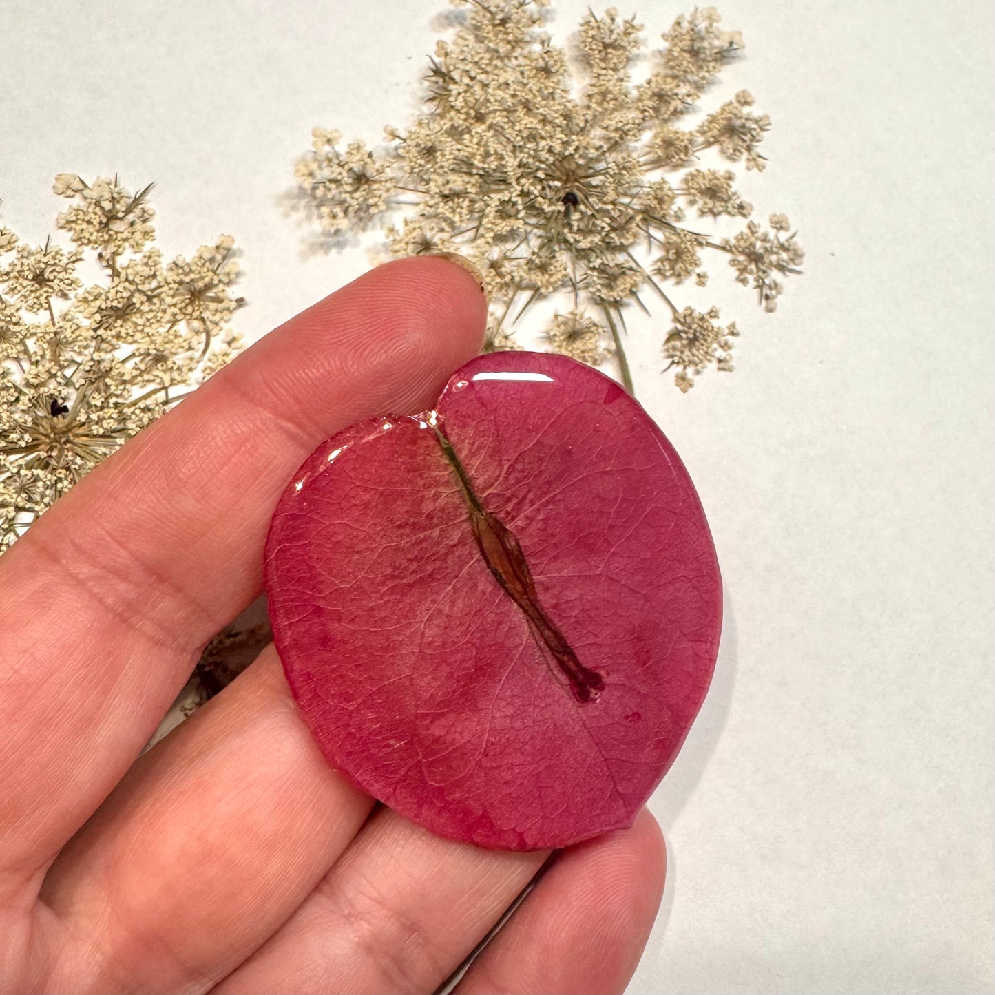 Broche con pètalo natural de buganvilla