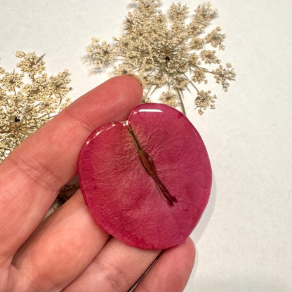 Broche con pètalo natural de buganvilla