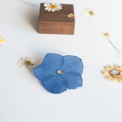 Broche  con Hortensia real prensada 