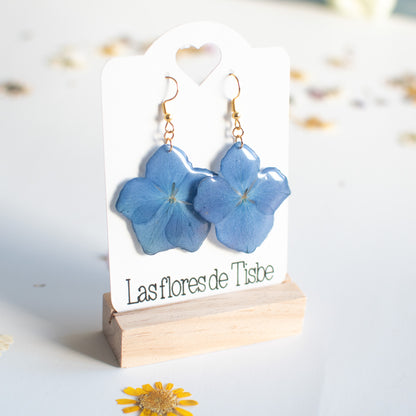Pendientes con flor de hortensia real prensada