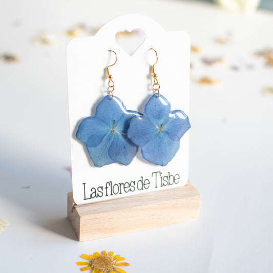 Pendientes con flor de hortensia real prensada