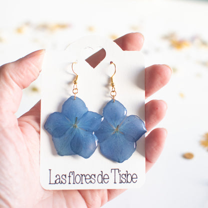 Pendientes con flor de hortensia real prensada